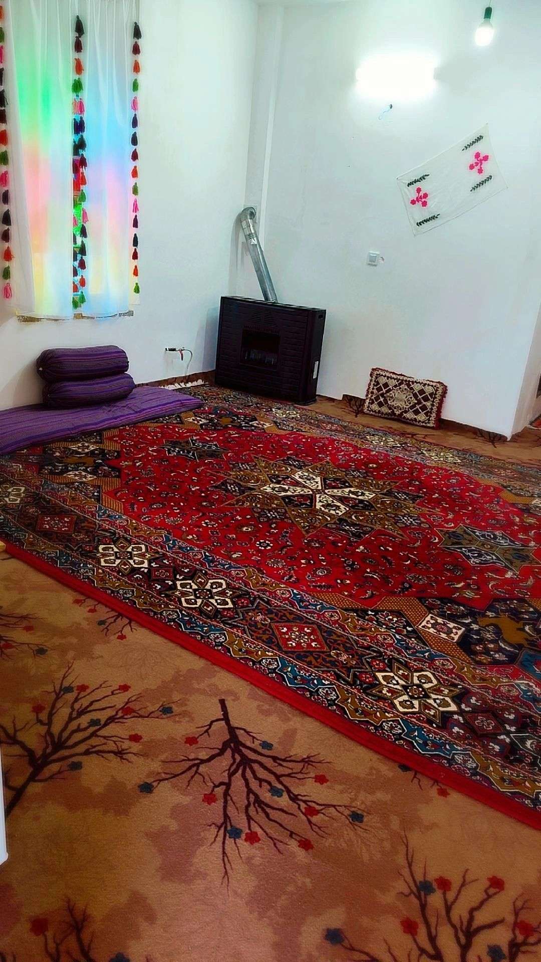 گالری تصاویر